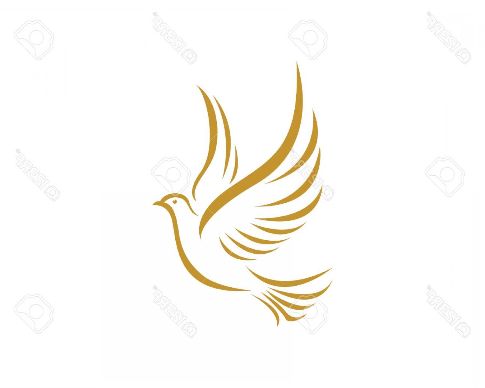 Photostock Vector Bird Dove Logo Template In Gold Geekchicpro 1560x1248 Photostock Vector Bird Dove Logo Template In Gold Geekchicpro