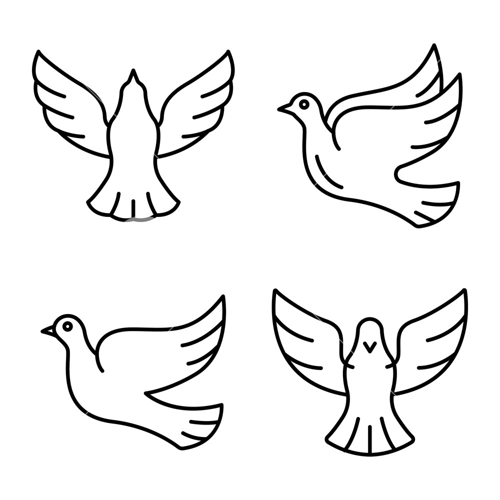 Dove Icons Set Outline Set Of Dove Vector Icons For Web Design 1000x1000 Dove Icons Set Outline Set Of Dove Vector Icons For Web Design