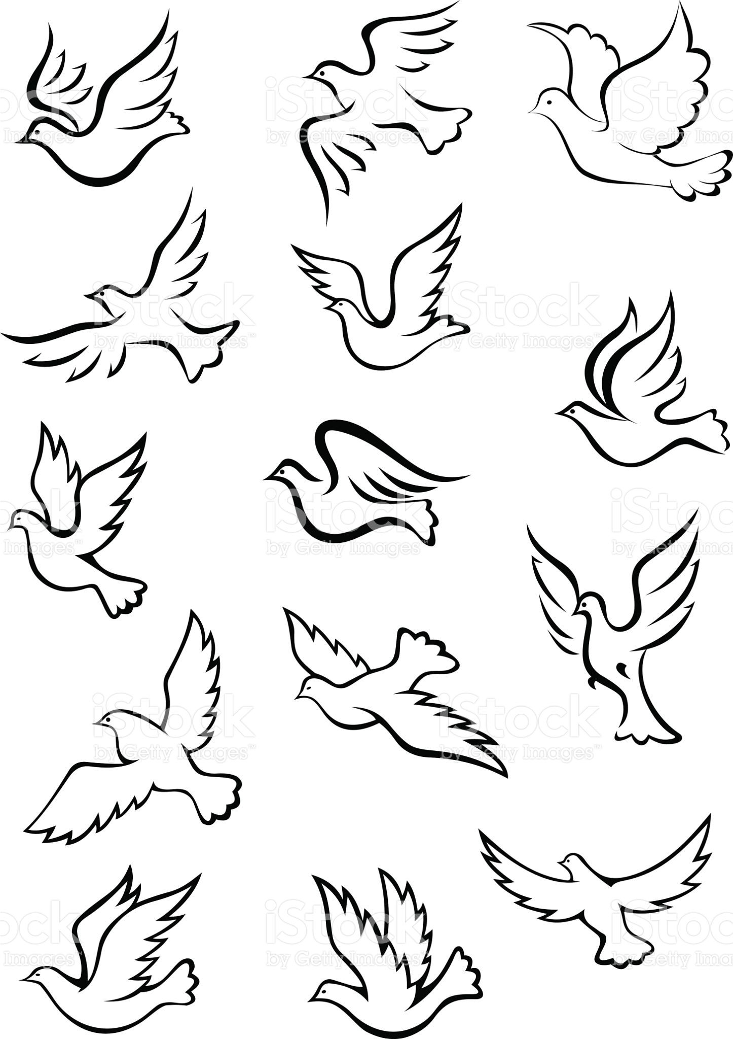 1446x2048 Outline Graceful Dove And Pigeon Birds Set In Sketch Style