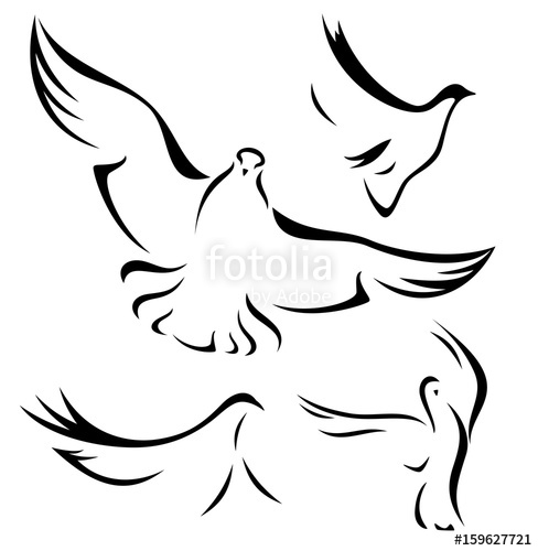 Set Of Flying Doves 488x500 Set Of Flying Doves