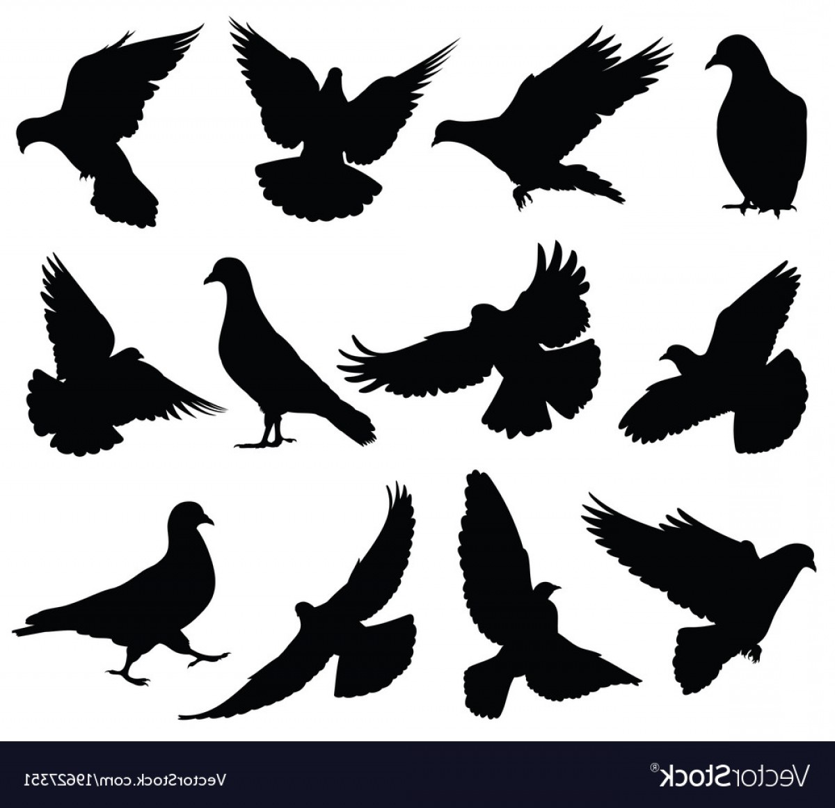 Dove Silhouette Vector At Collection Of Dove Silhouette Vector Free For