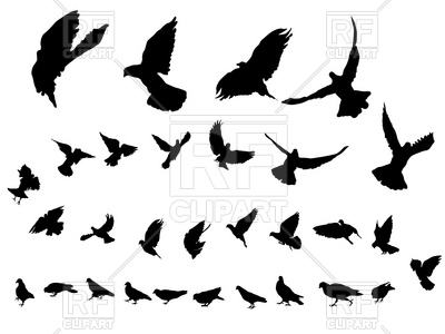 400x300 Flying Dove Silhouettes Vector Image Of Plants And Animals Lirch