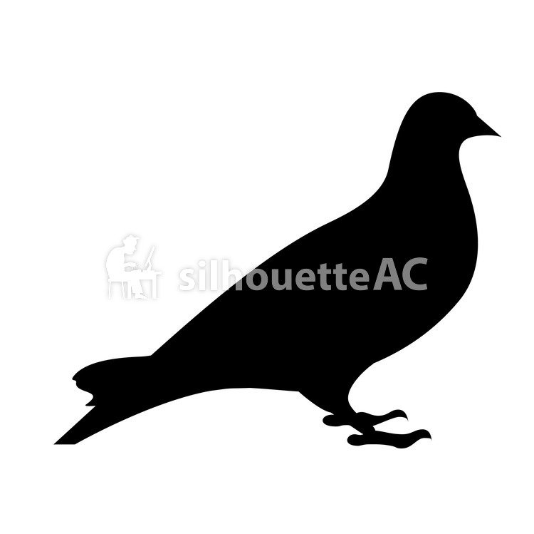 750x749 Free Silhouette Vector Dove An Illustration