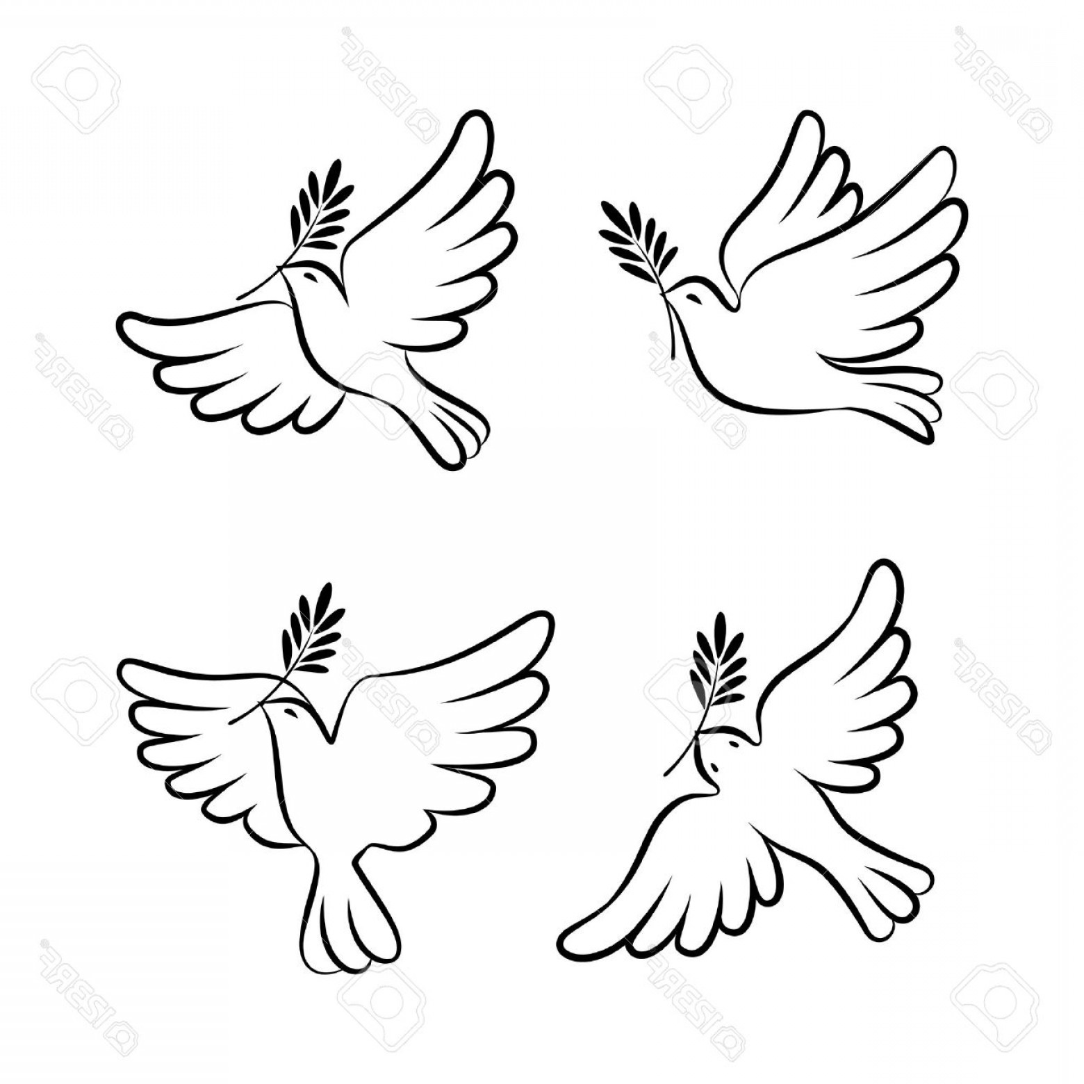 1560x1560 Photostock Vector Flying Dove Vector Sketch Set Dove Of Peace