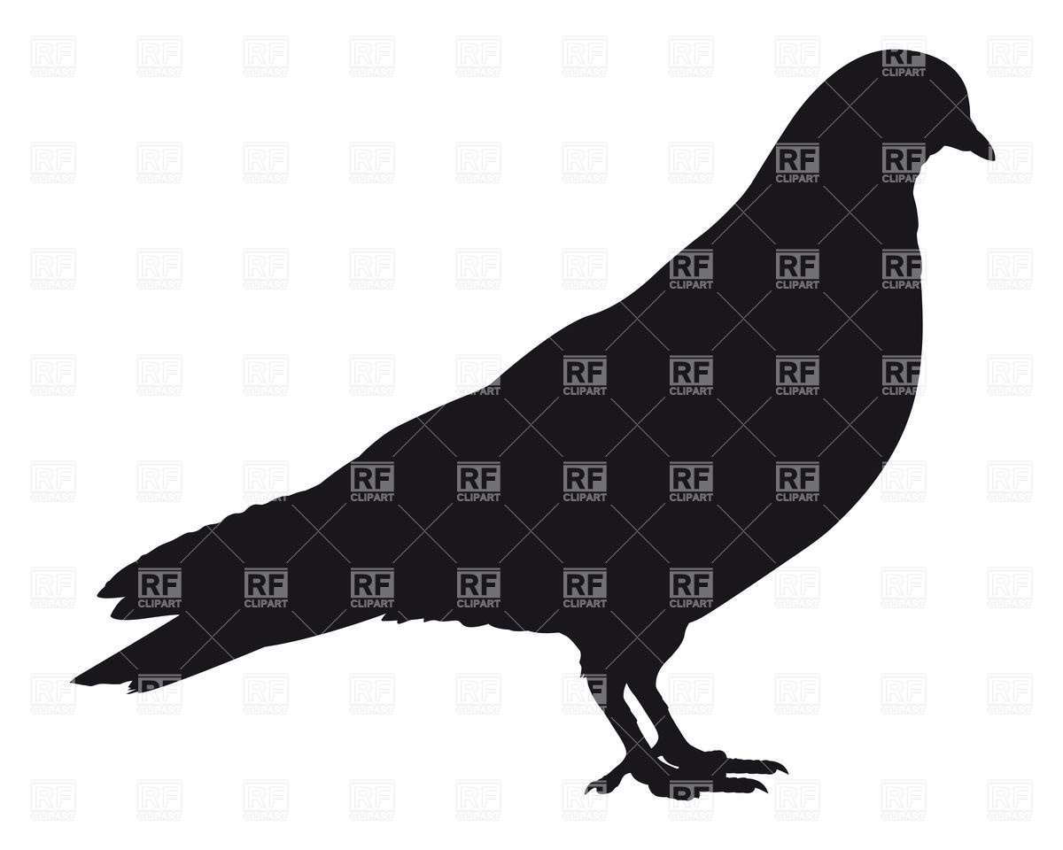 1200x960 Pigeon's Silhouette Vector Image Of Plants And Animals Mylisa