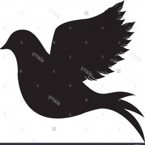 300x300 Stock Photo Dove Silhouette Icon Image Vector Illustration Design