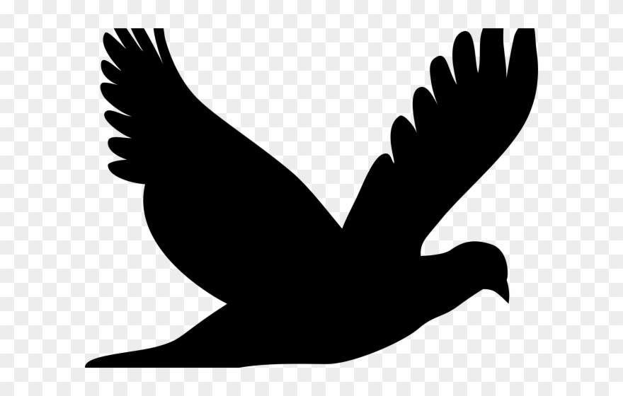 880x560 Turtle Dove Clipart Silhouette