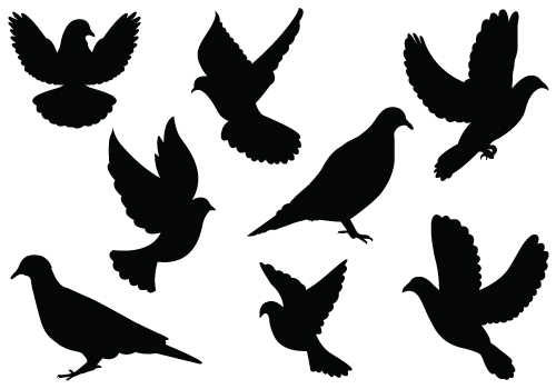 500x350 Dove Silhouette Vector Clipart