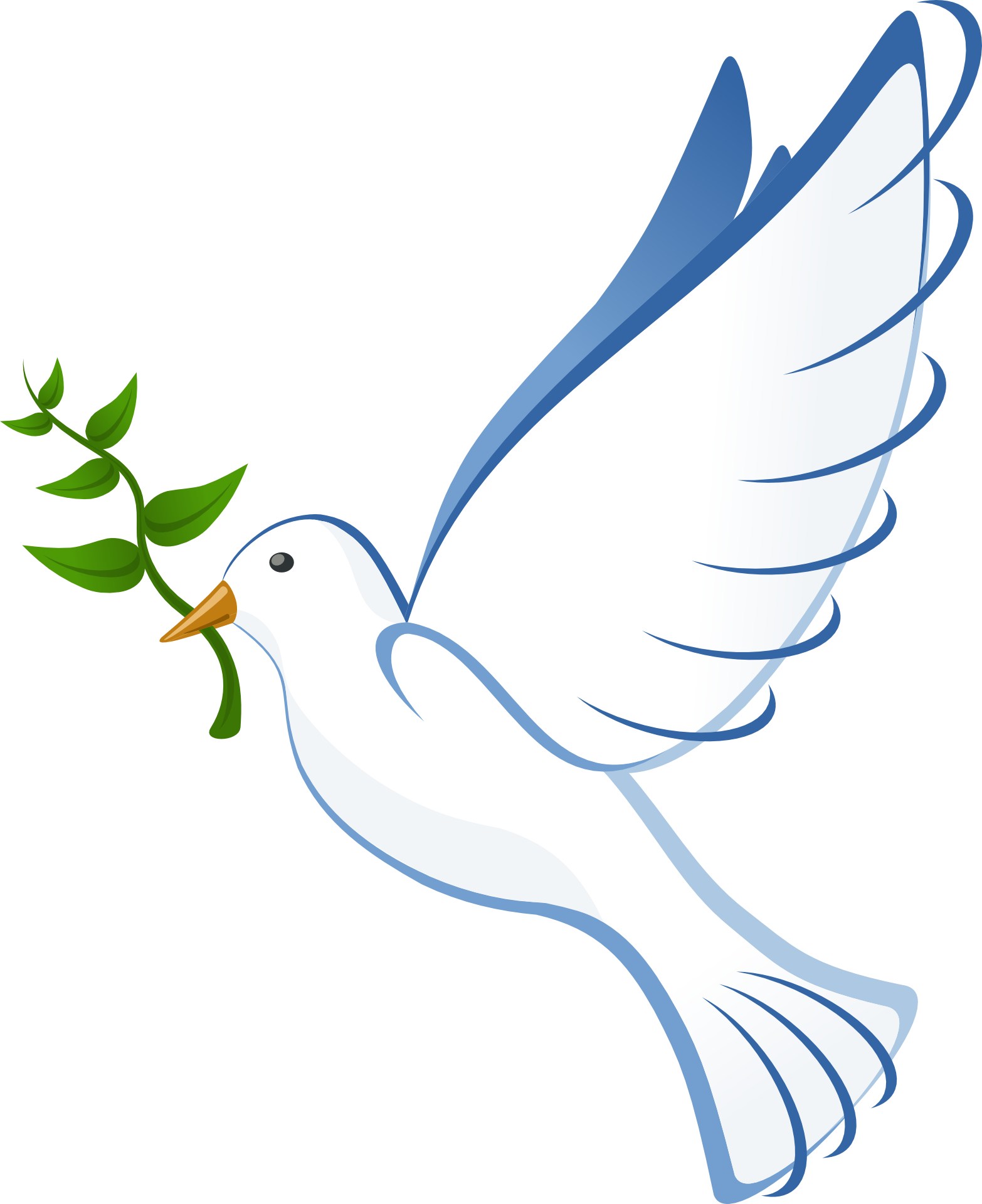 Cartoon Bird Peace Dove Vector Free Vector, Icons 1566x1920 Cartoon Bird Peace Dove Vector Free Vector, Icons