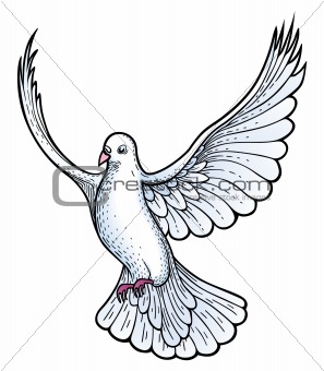 Image White Dove Vector From Crestock Stock Photos 297x340 Image White Dove Vector From Crestock Stock Photos