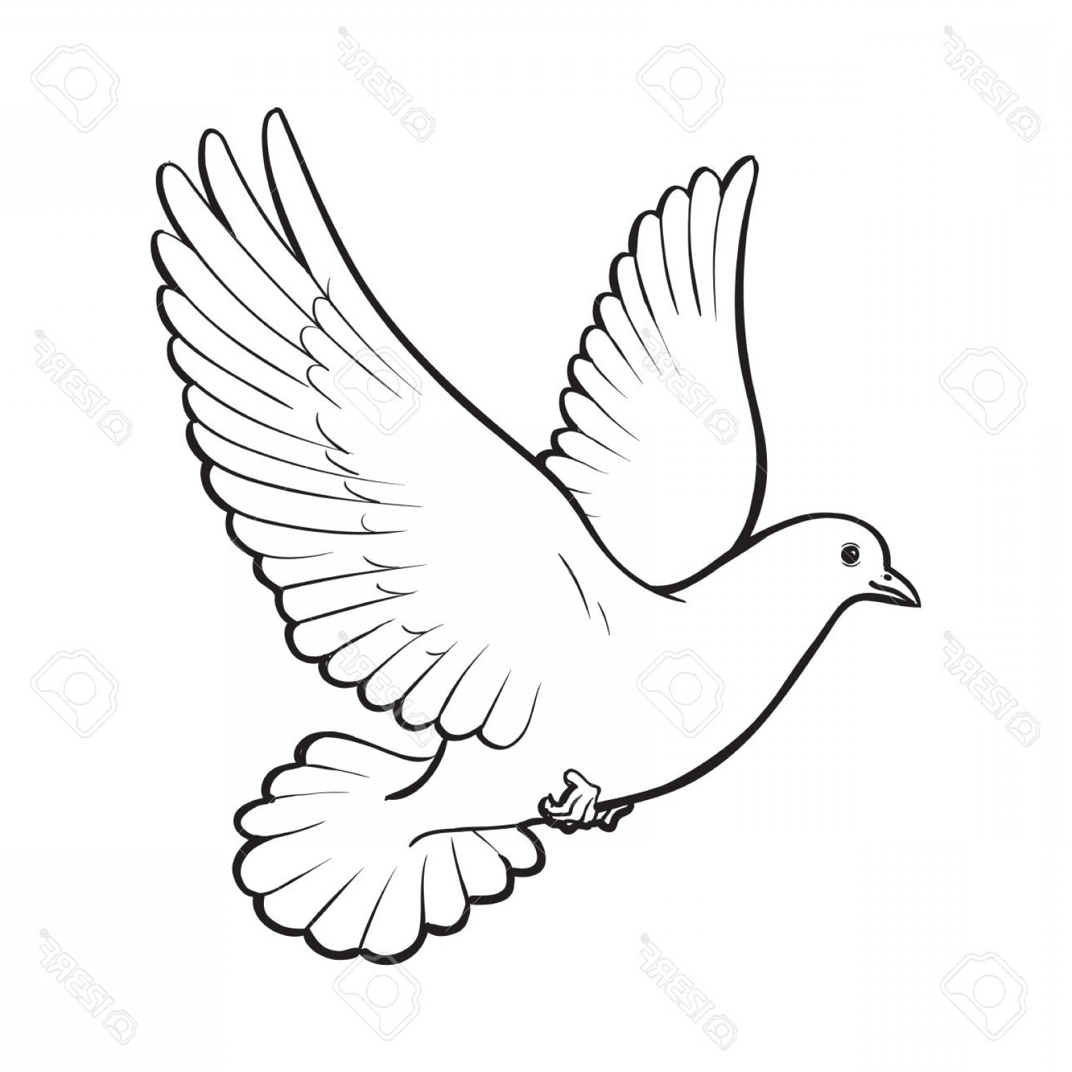Photostock Vector Free Flying White Dove Sketch Style Vector 1560x1560 Photostock Vector Free Flying White Dove Sketch Style Vector