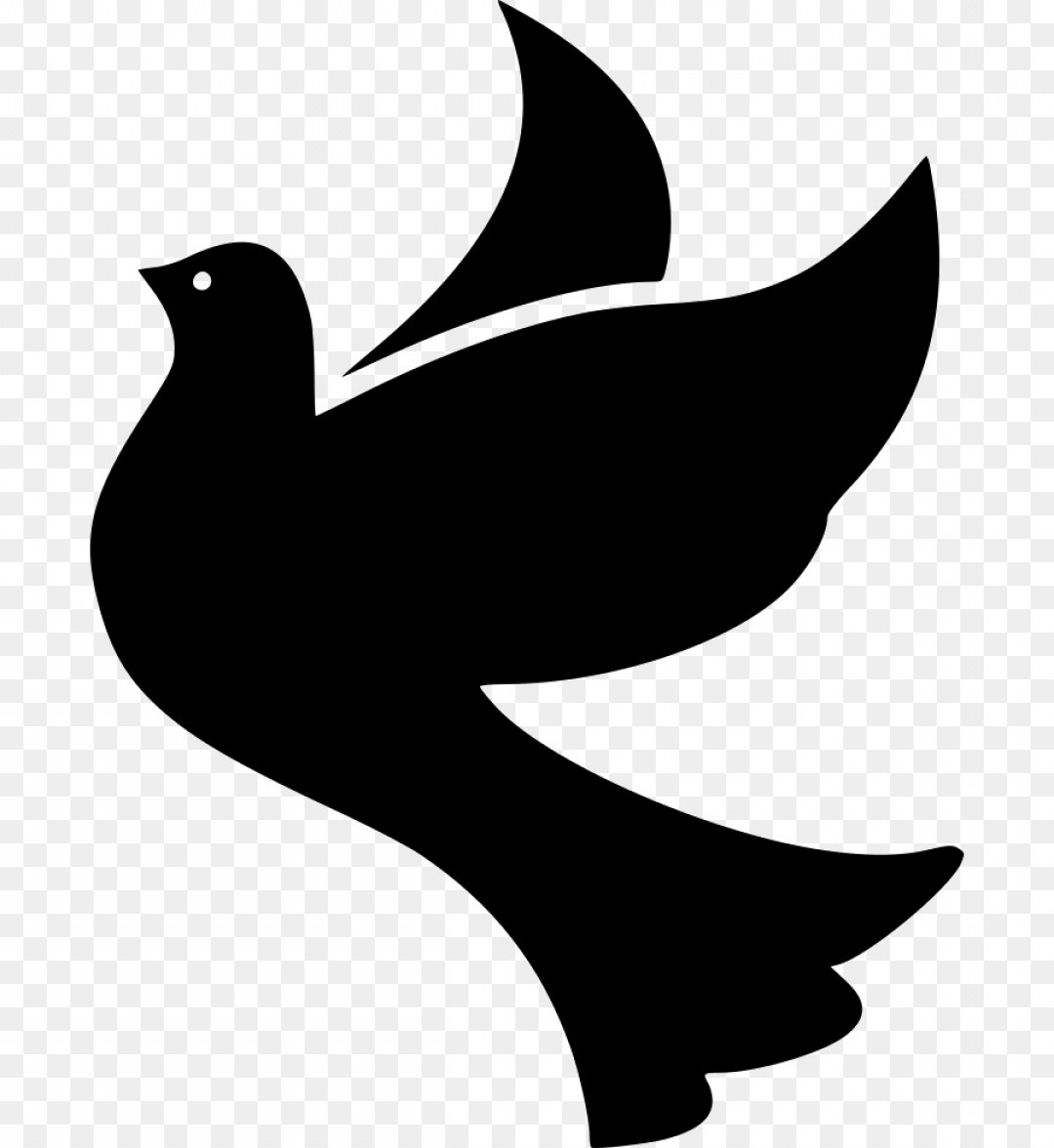 Png Bird Columbidae Computer Icons Squab Clip Art Dove Soidergi 1080x1176 Png Bird Columbidae Computer Icons Squab Clip Art Dove Soidergi