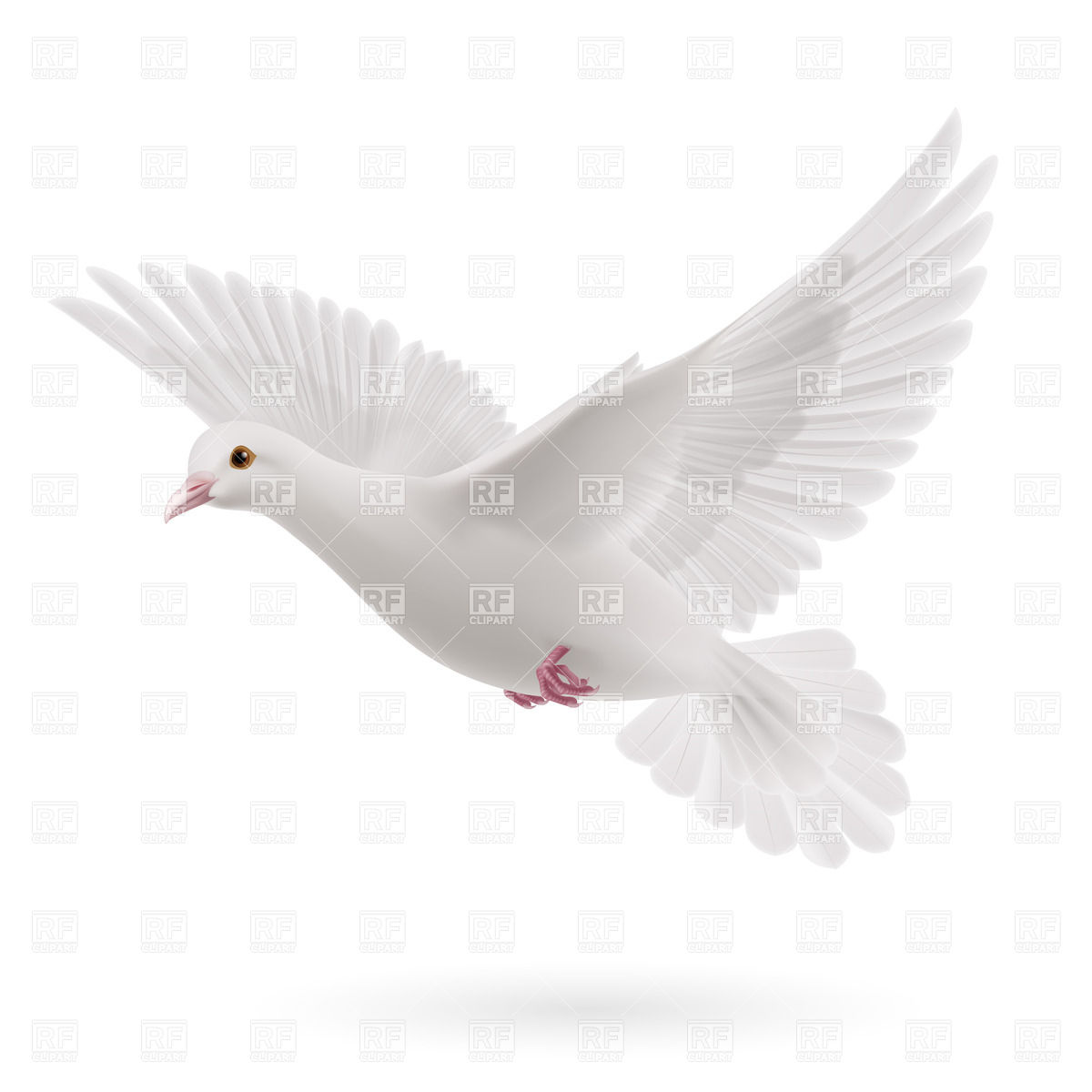 Realistic Flying White Dove Vector Image Of Plants And Animals 1200x1200 Realistic Flying White Dove Vector Image Of Plants And Animals