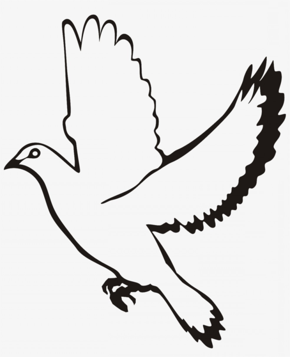 Uqrqetyqwhite Flying Dove Clipart White Dove Vector Png Catchsplace 984x1210 Uqrqetyqwhite Flying Dove Clipart White Dove Vector Png Catchsplace