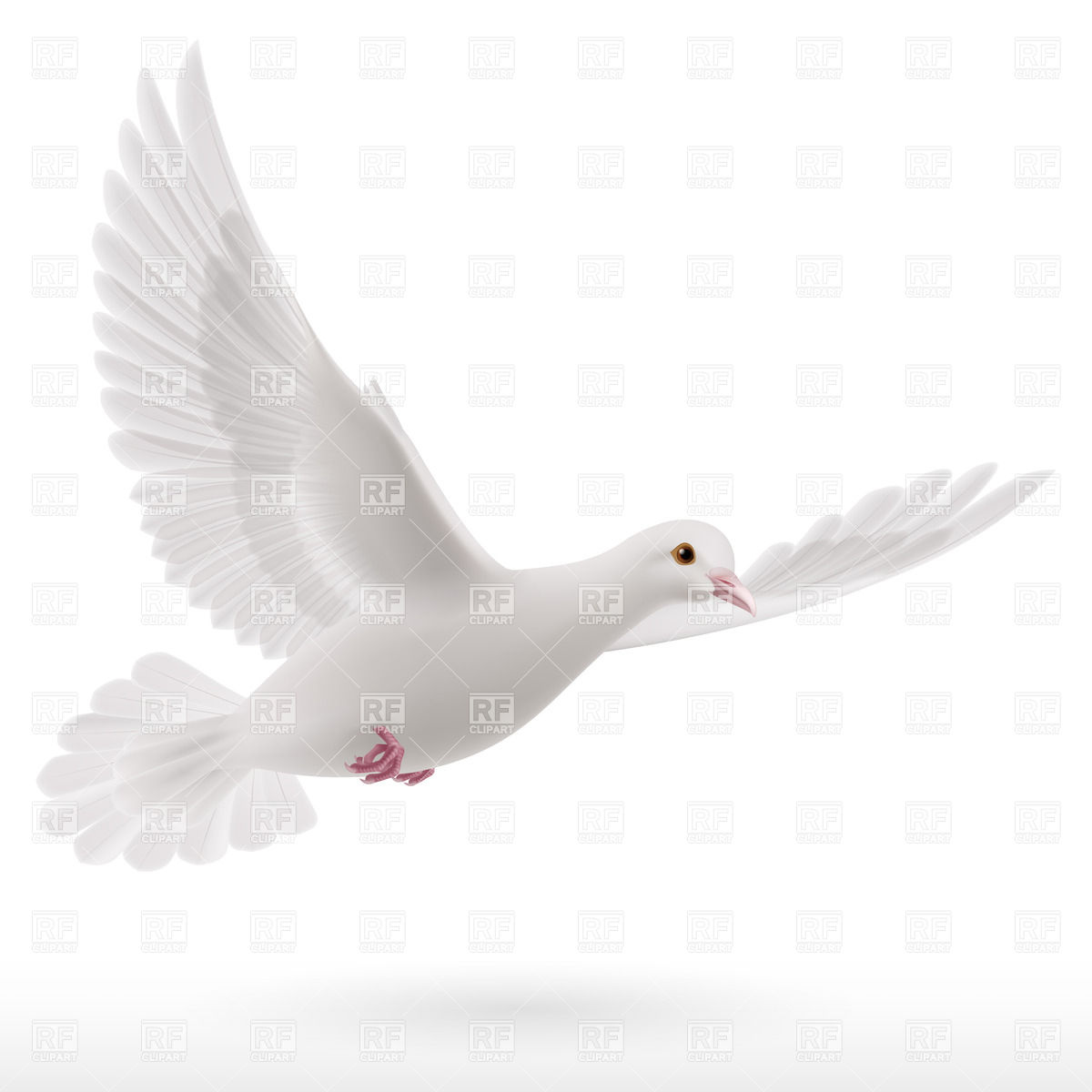 White Flying Dove Vector Image Of Plants And Animals Dvarg 1200x1200 White Flying Dove Vector Image Of Plants And Animals Dvarg