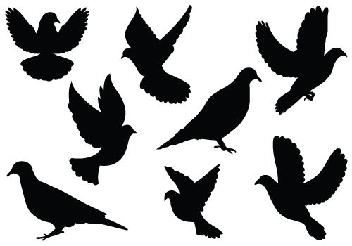 Dove Silhouette Vector Clipart 500x350 Dove Silhouette Vector Clipart