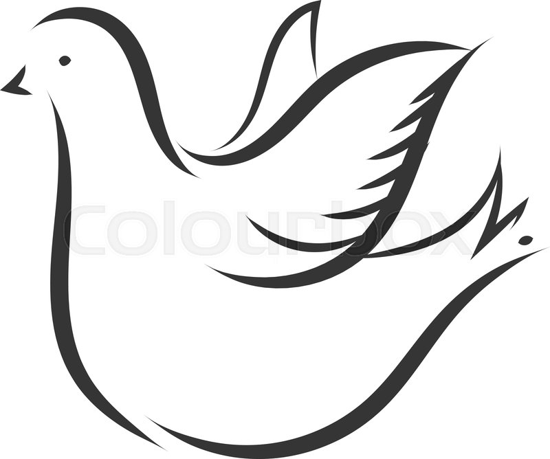 800x668 Simple Sketch Of A White Dove Vector Stock Vector Colourbox
