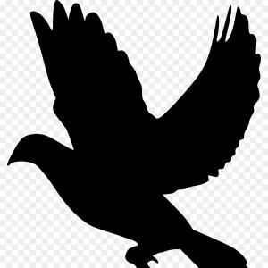 300x300 Stock Illustration Dove Vector Icon Isolated Transparent