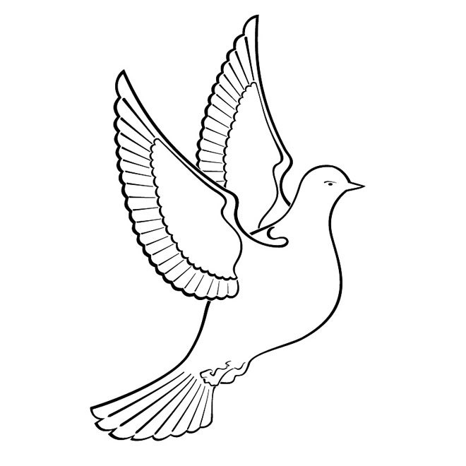 Dove Vector Free