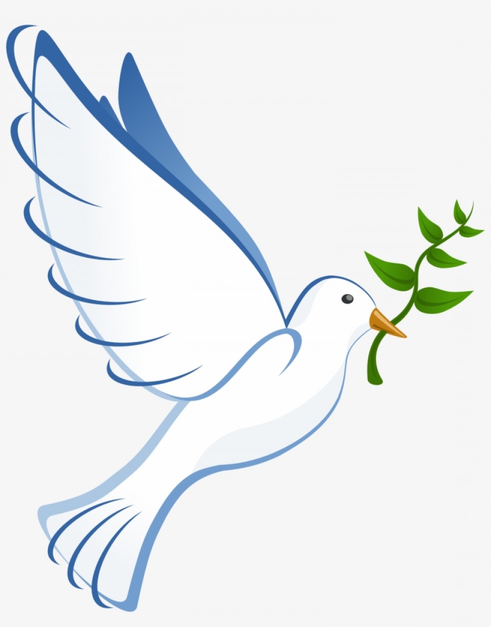 984x1256 Dove Vector Art Transparent Background Hoodamathrun