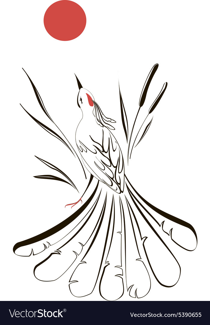 700x1080 Drawn Turtle Dove Vector