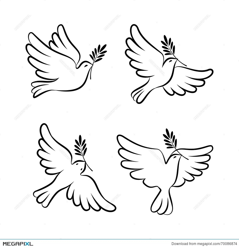 800x830 Flying Dove Vector Sketch Set Dove Of Peace Illustration