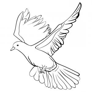 Dove Vector Free at Vectorified.com | Collection of Dove Vector Free ...