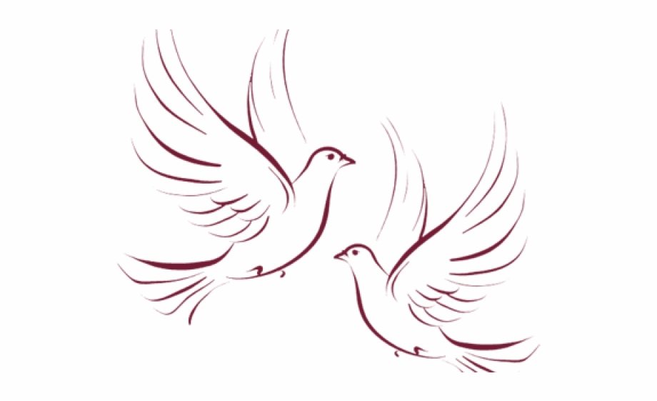 Dove Vector Free at Vectorified.com | Collection of Dove Vector Free ...