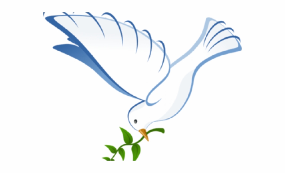 920x560 White Dove Clipart Vector