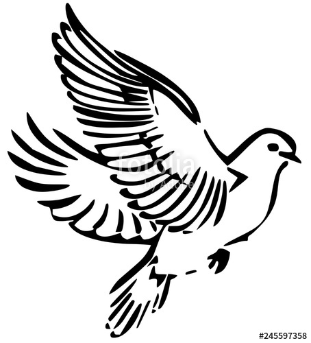 454x500 Dove Vector Illustration Stock Image And Royalty Free Vector