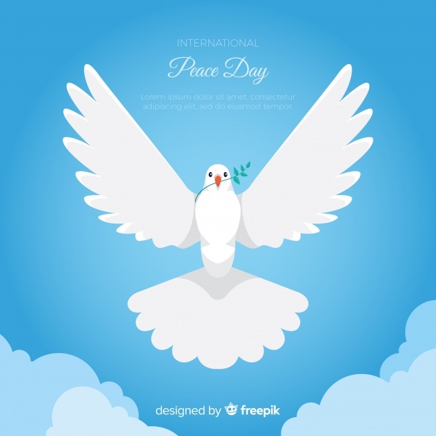 626x626 Dove Vectors, Photos And Free Download