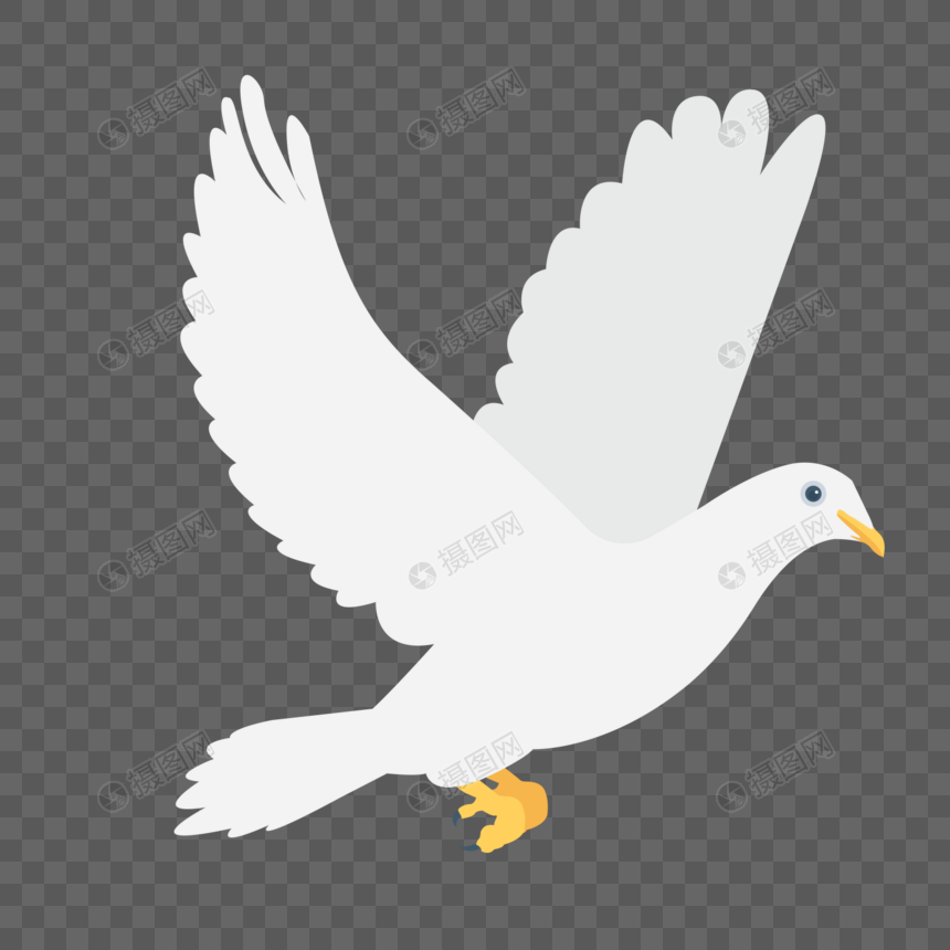 860x860 Dove Free Vector Material Png Image Picture Free Download