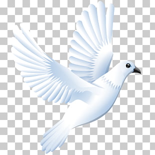 310x310 Dove Vector Png Cliparts For Free Download Uihere