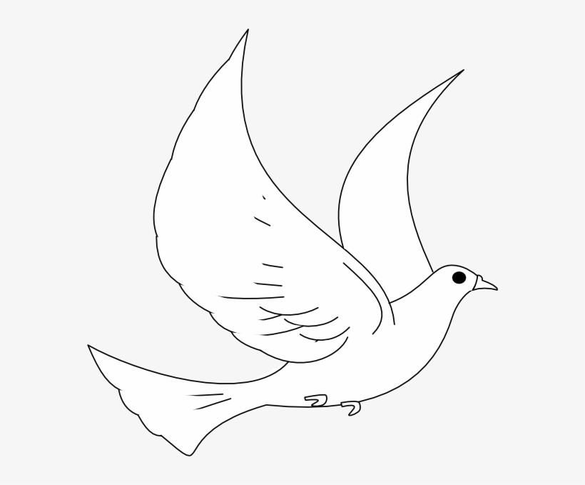 820x679 Drawn Turtle Dove Animated