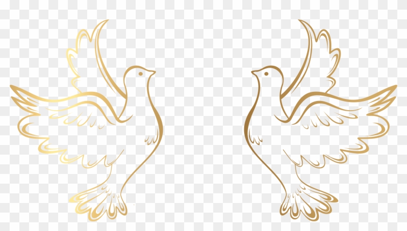 840x478 Gold Doves Decoration Transparent Png Clip Art Image