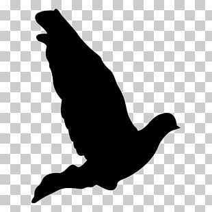 310x310 Page Dove Vector Png Cliparts For Free Download Uihere