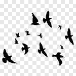 150x150 Slipart Bird Flock Of Birds Flying Silhouette Dove Vector Cut Out