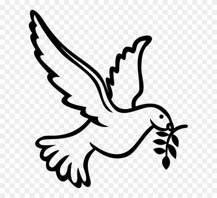 880x800 Vector Dove Buy Clip Art