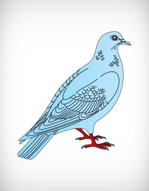 500x639 Dove Vector