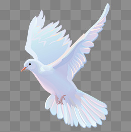 260x261 A White Dove Vector Material, Dove Vecto