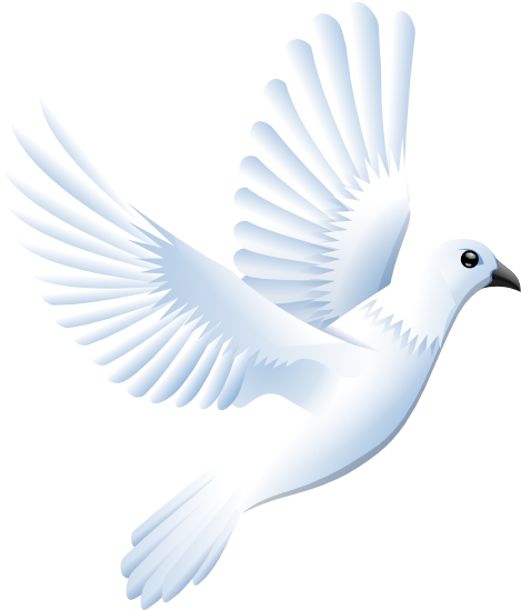 469x549 Colomba Peace Dove