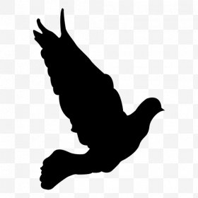 280x280 Dove Images, Dove Png, Free Download, Clipart