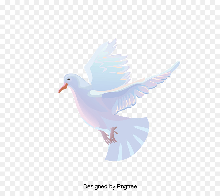 900x800 Dove Logo
