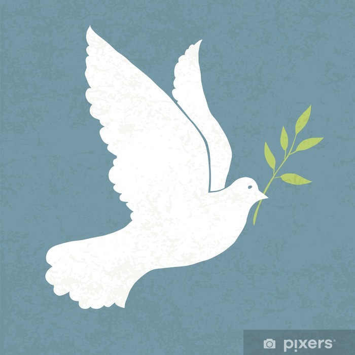 700x700 Dove With Olive Branch Vector Illustration, Wall Mural