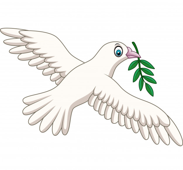 626x581 Cartoon Dove With An Olive Branch Vector Premium Download