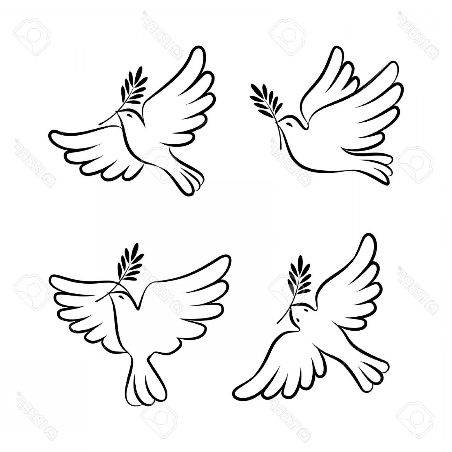 Dove With Olive Branch Vector at Vectorified.com | Collection of Dove ...