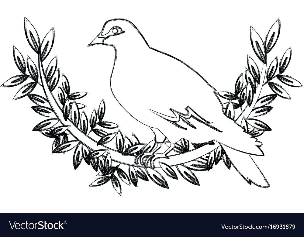 1000x780 Picture Of Dove With Olive Branch Peace Emblem Vector Image Free