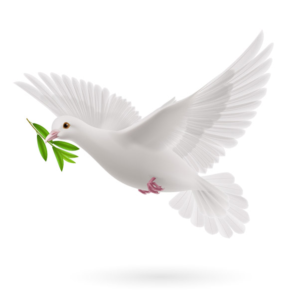 600x600 Rank Olive Branch The Dove Vector Animal Free Vector Free Download