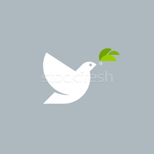 600x600 Vector Logo Template Of White Dove With Olive Branch Vector
