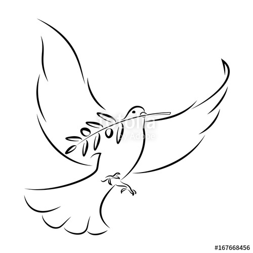 500x500 White Dove With Olive Branch Vector Illustration Stock Image